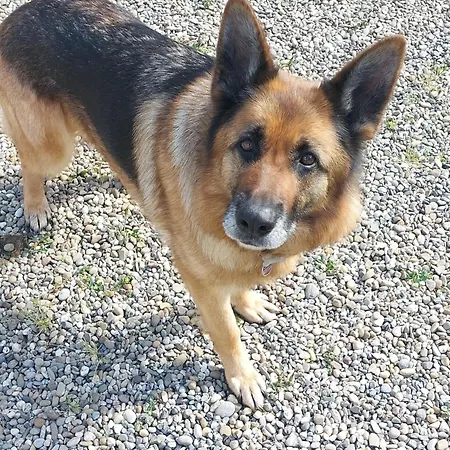 Gutshof Ottenweier Hof Neuried